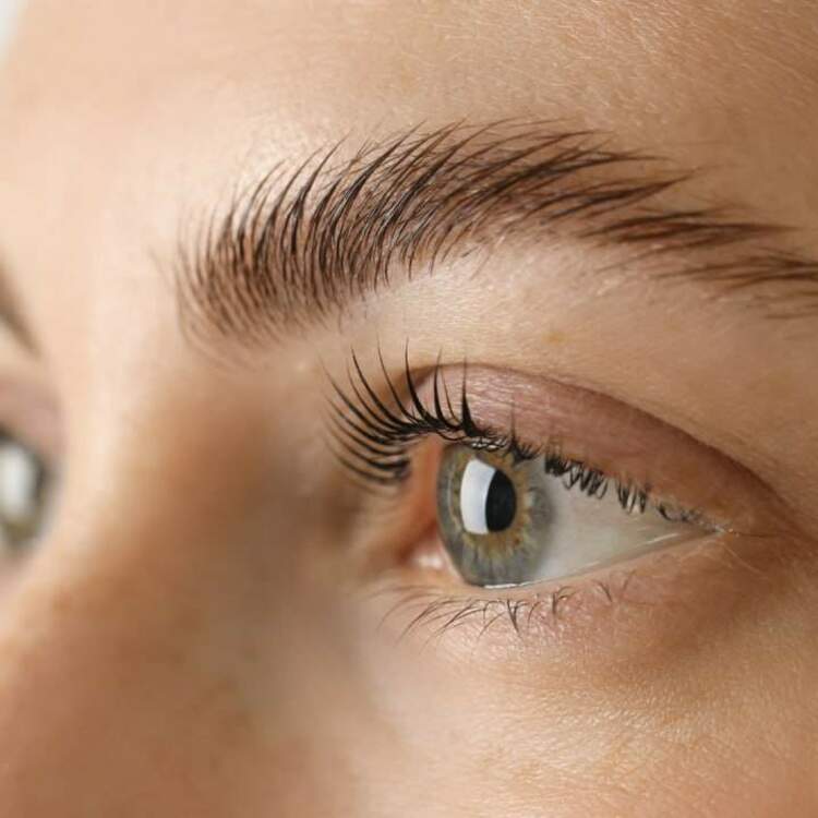 Ламинирование бровей